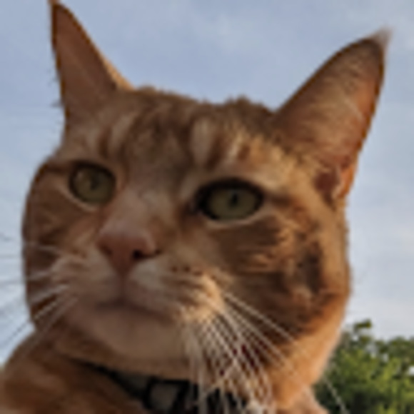 Meet your Posher, Mo·dus - Picture 1 of 1